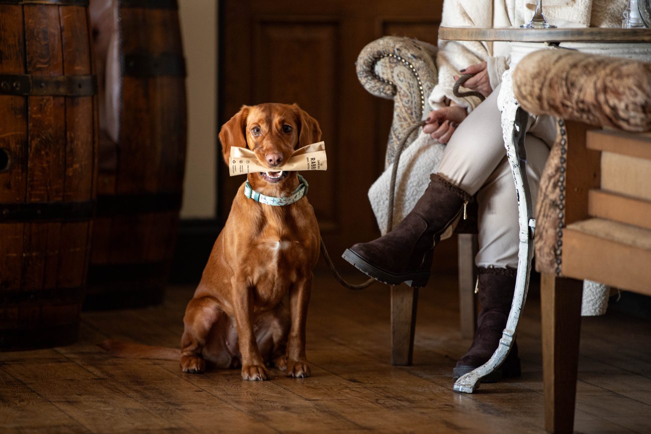 Dog treat photoshoot