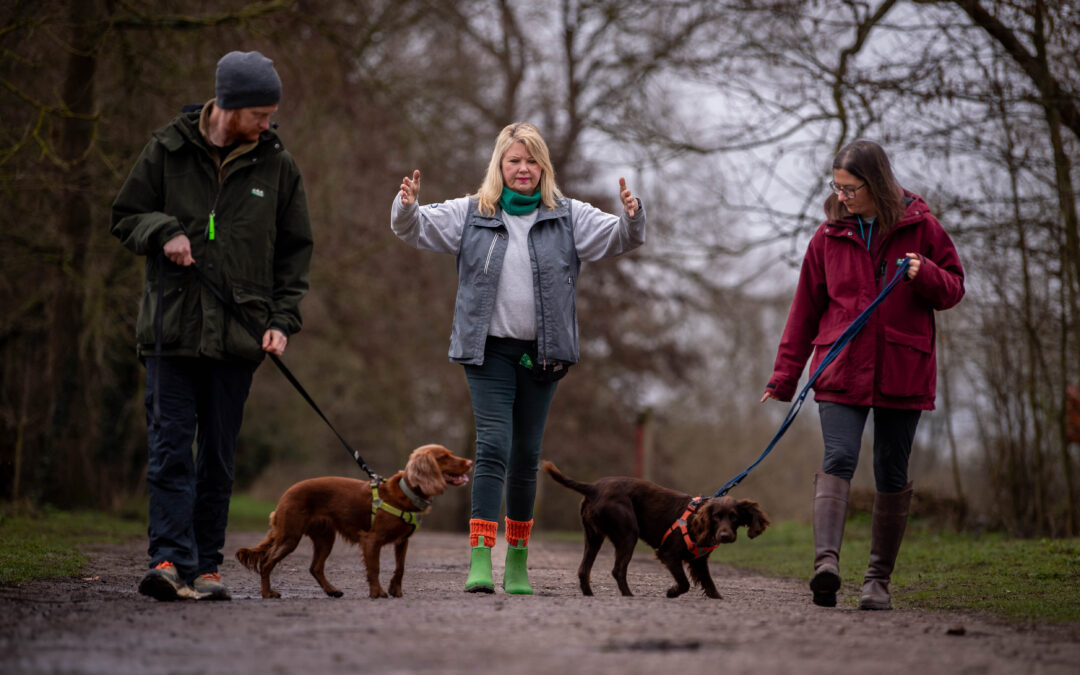 Standing out in a crowded dog service industry