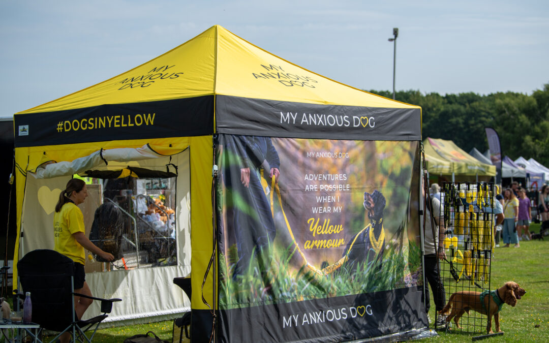 What to do after your pet brand photoshoot