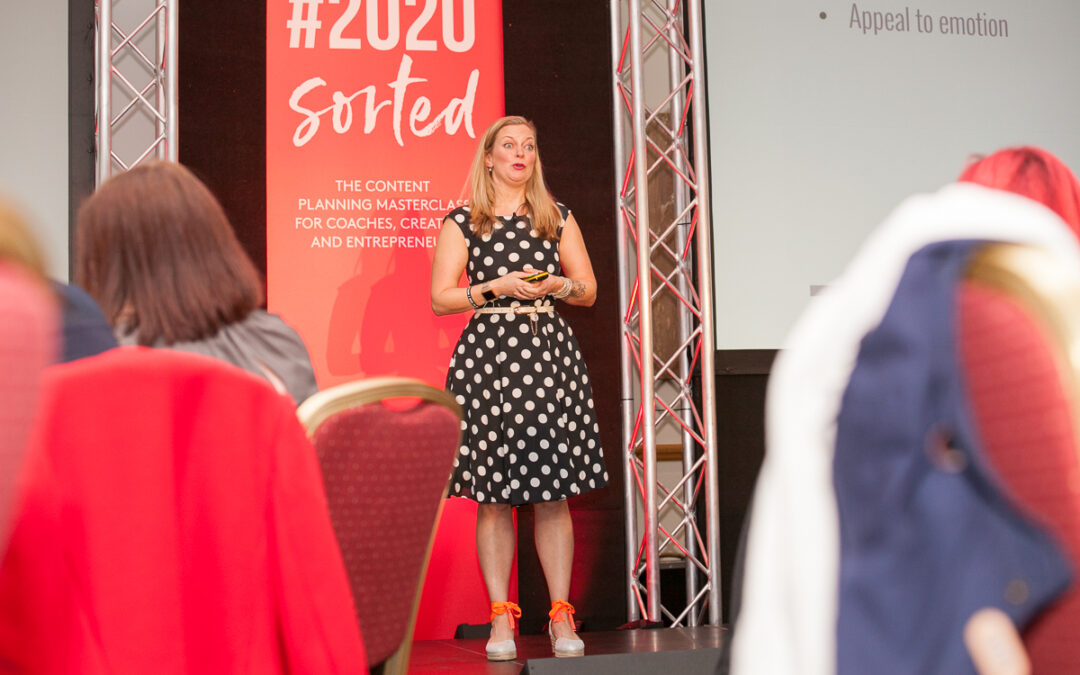 How to create an awareness day for your pet business (And why it’s worth it)